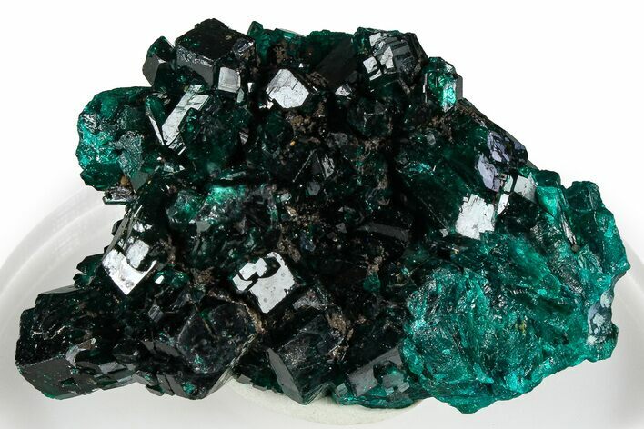 Emerald-Green Dioptase Crystal Cluster - Congo #368195